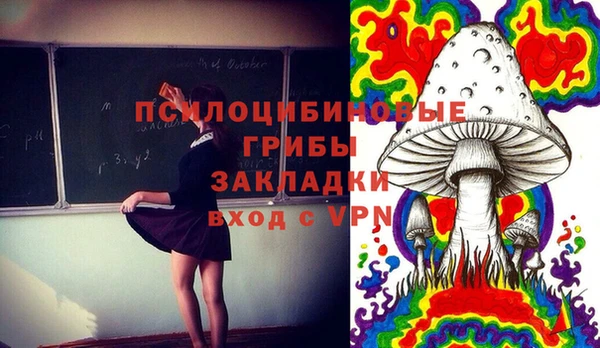 бошки Алзамай