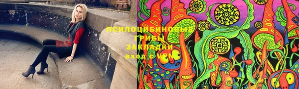 бошки Новокубанск